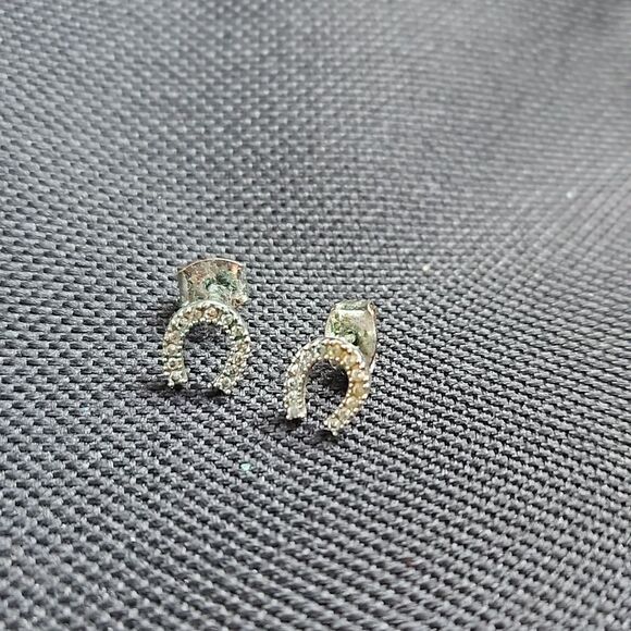 Sparkly Horse Shoe Earrings - Picture 1 of 1